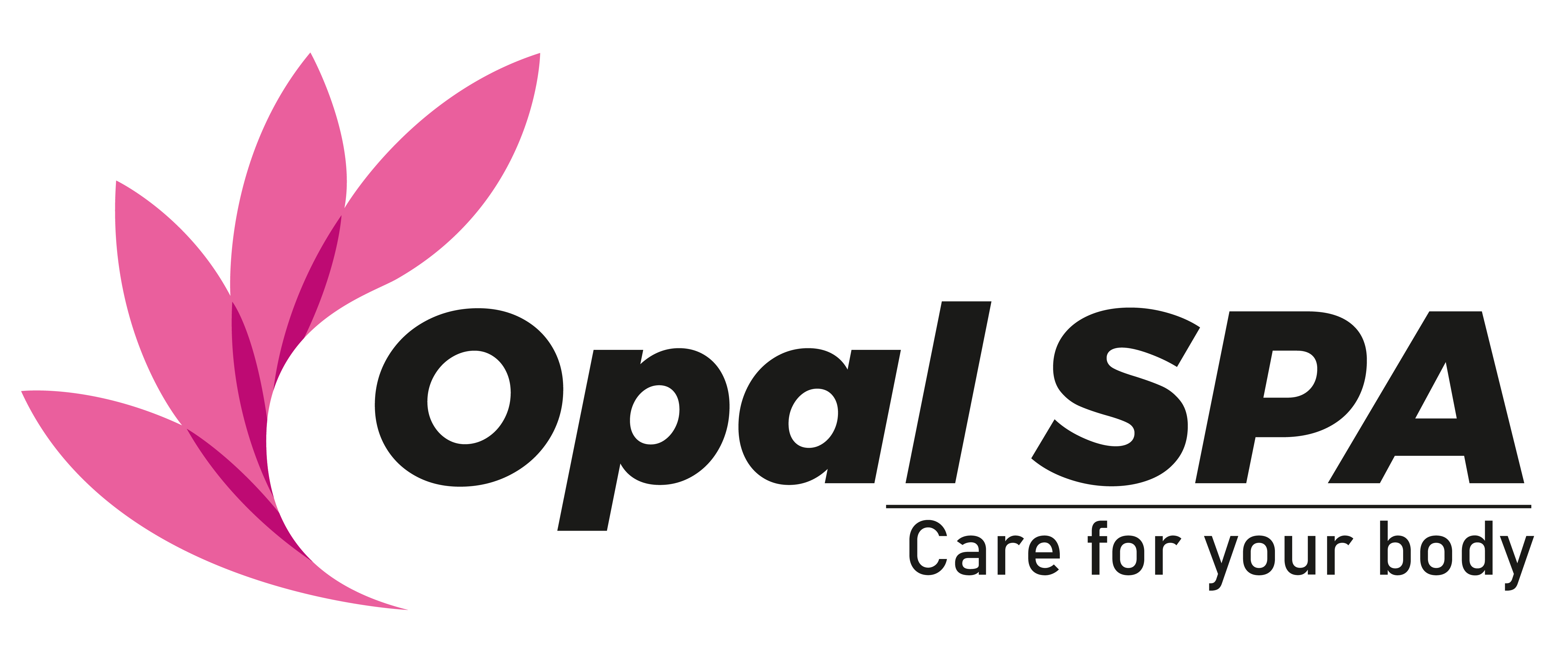 Opal Spa Vashi